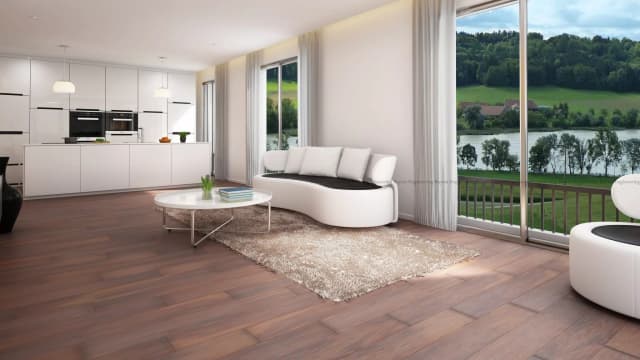 Kitchen-Cum-Living-Riverside-Switzerland